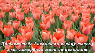 Божие благословения Ролик