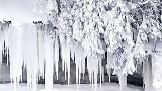 Дивно Бог сотворил ролик