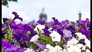 Дивно Бог сотворил ролик