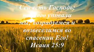 Доверься Богу ролик