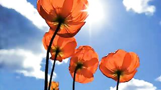 Жить с Иисусом Ролик