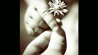 Жизнь прекрасна ролик