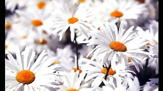 Подставляйте ладони ролик