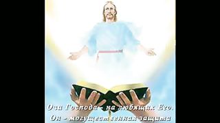 Не бойся ролик