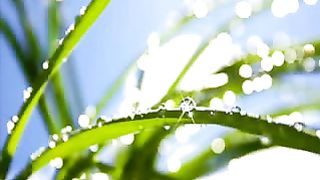 Небесный город ролик