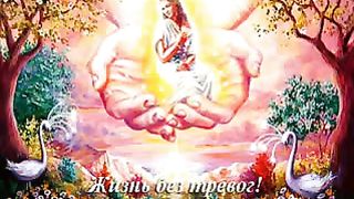 Радость Слайдшоу