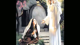 Радость Слайдшоу