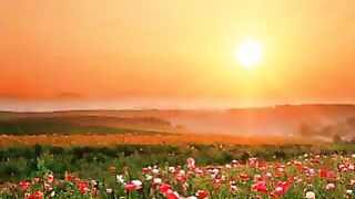 Самое прекрасное Ролик