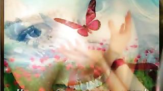 Солнечный лучик роллик