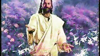 Тебе - ролик