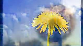 Величит душа ролик