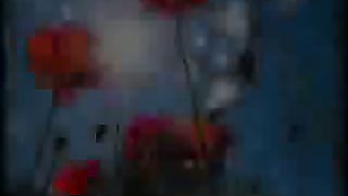 Величит душа ролик