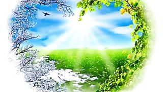 За тебя молятся Ролик