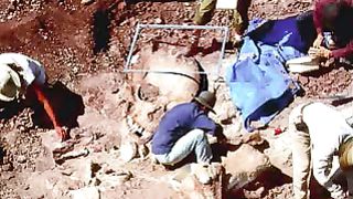 Люди до потопа