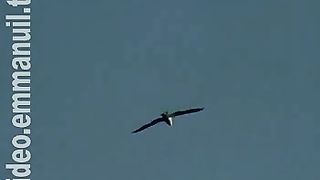 Отражение - Жизнь которая была отдана чтобы мы жили