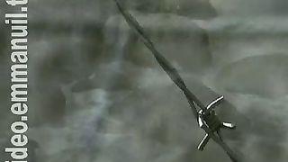 Отражение - Мечты ставшие реальностью