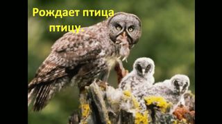 нравственность слайдшоу