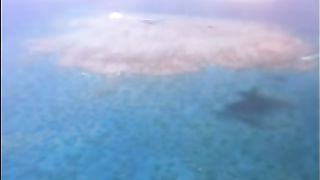 Братья Франциска - Laudato Si Signore Mio