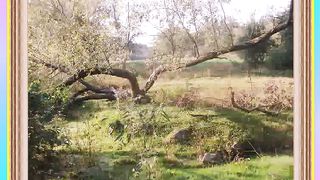 О благодать спасен Тобою (слайд)