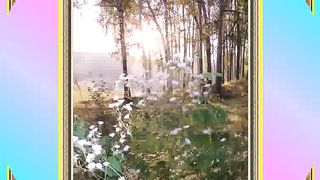 О благодать спасен Тобою (слайд)