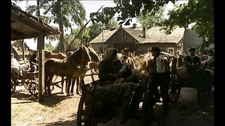 Знахарь 2 (1982)