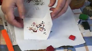 Твоє Життя ТЖ» «Добрі справи» Выпуск 202