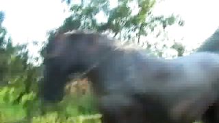 Соціальний табір в с Бобли