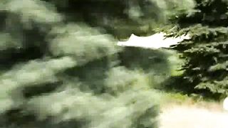 Соціальний табір в с Бобли