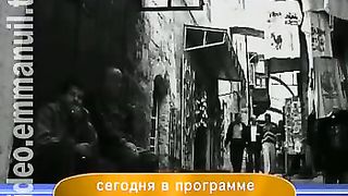 Дом Живых Историй 247