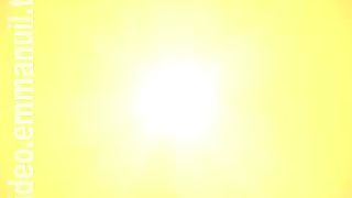 Дом Живых Историй 247