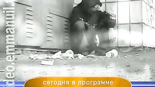 Дом Живых Историй 250