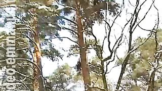 Дом Живых Историй 262