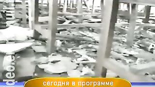 Дом Живых Историй 271