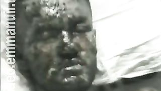 Дом Живых Историй 271