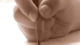 Дом Живых Историй 272