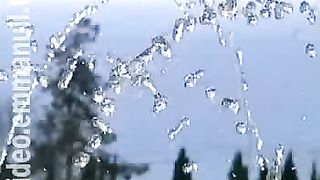 Дом Живых Историй 291