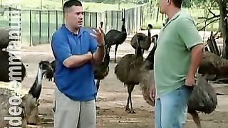 Дом Живых Историй 299