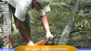 Дом Живых Историй 302