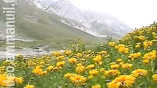 Дом Живых Историй 326