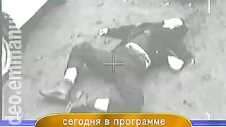 Дом Живых Историй 332