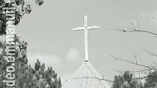 Дом Живых Историй 337