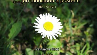 Патріарх Ілля - Лише молитвою і постом 6