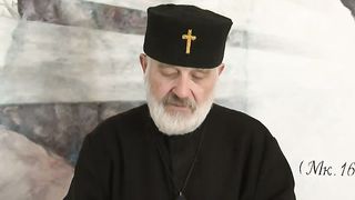 Вето чіпізації