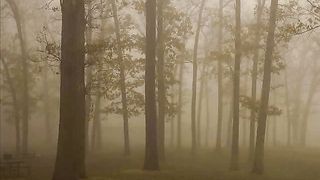 Хвалите Господа с небес