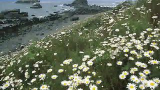 Хвалите Господа с небес