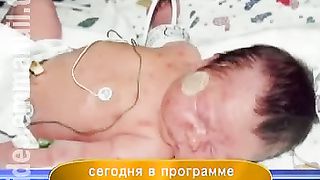 Дом Живых Историй 383