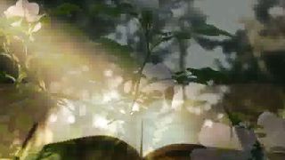 Патріарх Ілля - Як шукати і виконувати Божу волю 1