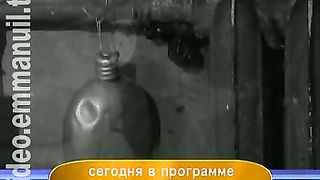 Дом Живых Историй 420