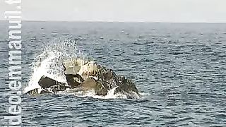 Дом Живых Историй 421