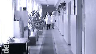 Дом Живых Историй 424